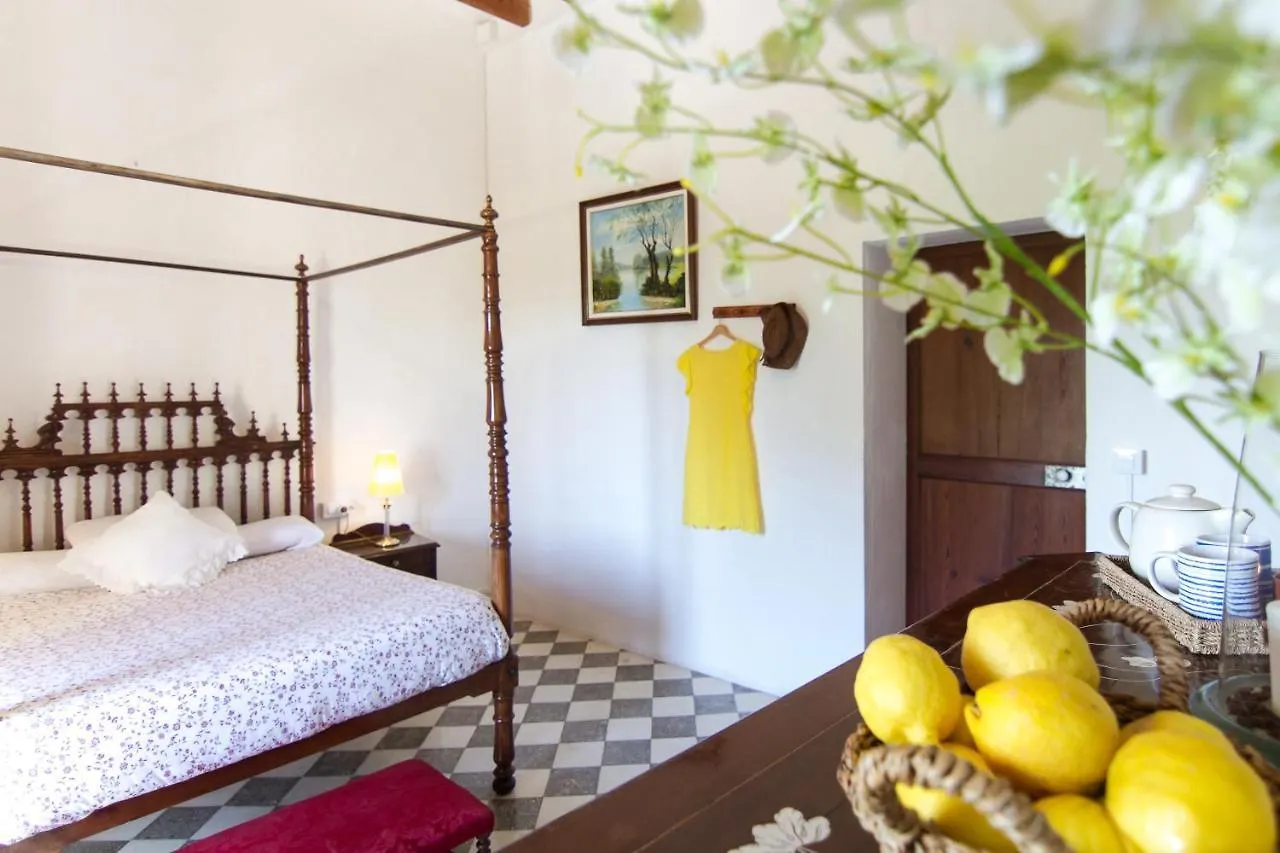 Agroturismo Son Sant Andreu Petra  Vakantieboerderij Petra (Mallorca)